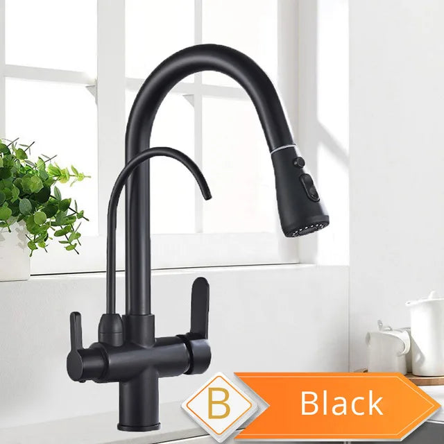 Rozin PremiumGrade Kitchen Faucet HighPerformance PullOutWaterFiltrationSystem Tap Three Way