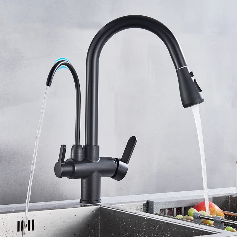 Rozin PremiumGrade Kitchen Faucet HighPerformance PullOutWaterFiltrationSystem Tap Three Way